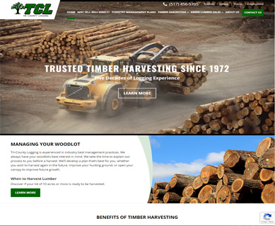 Website Portfolio Kentucky